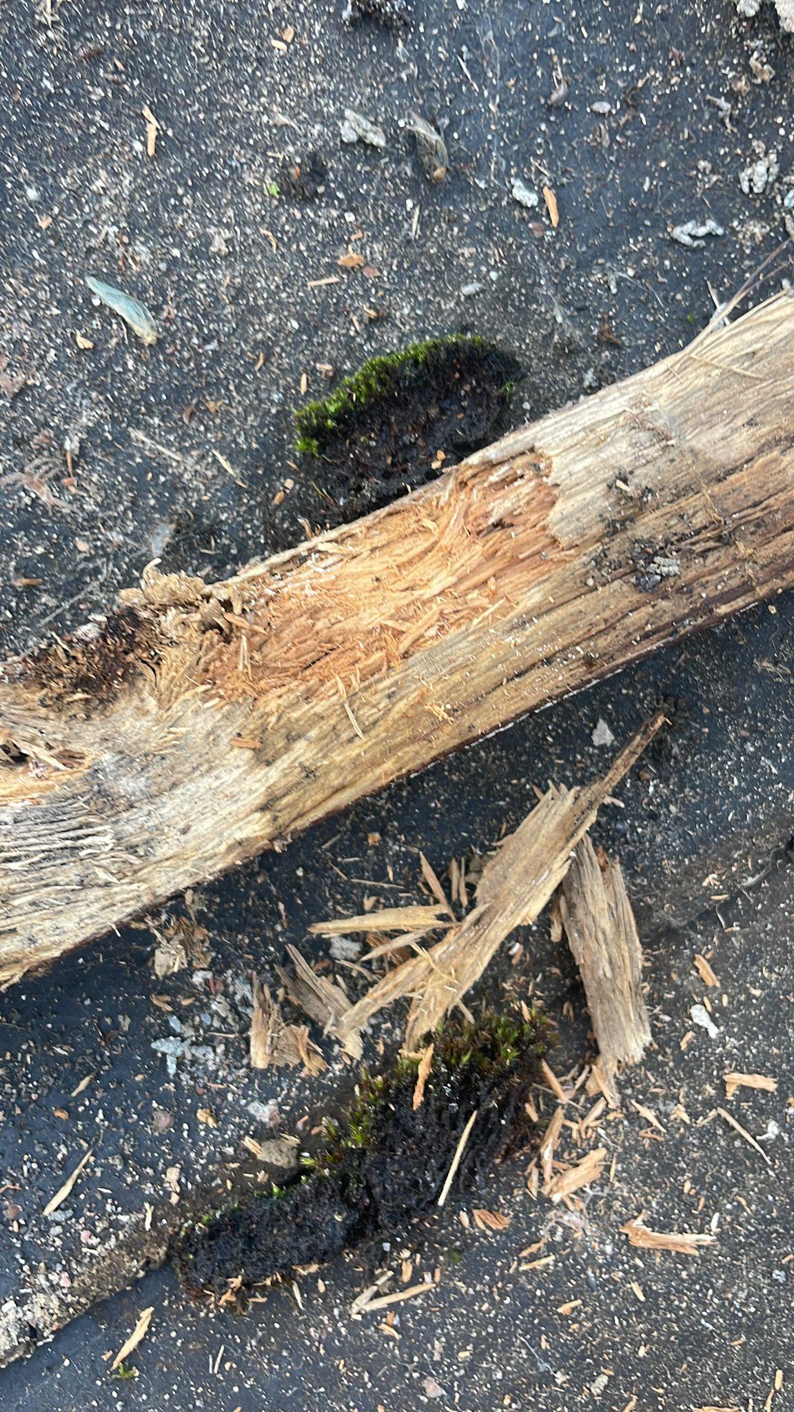 Before – What we found during the survey