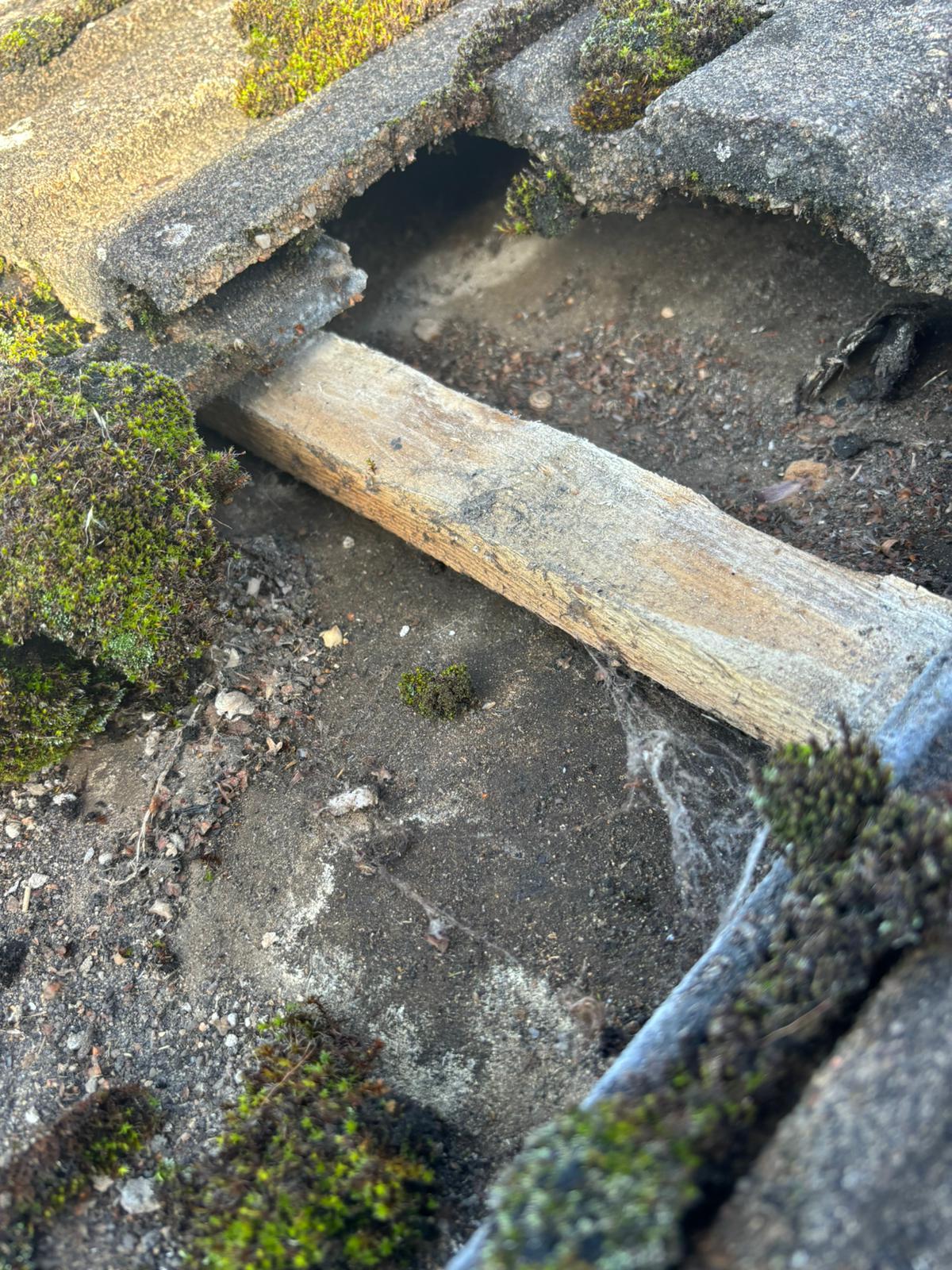 Before – What we found during the survey